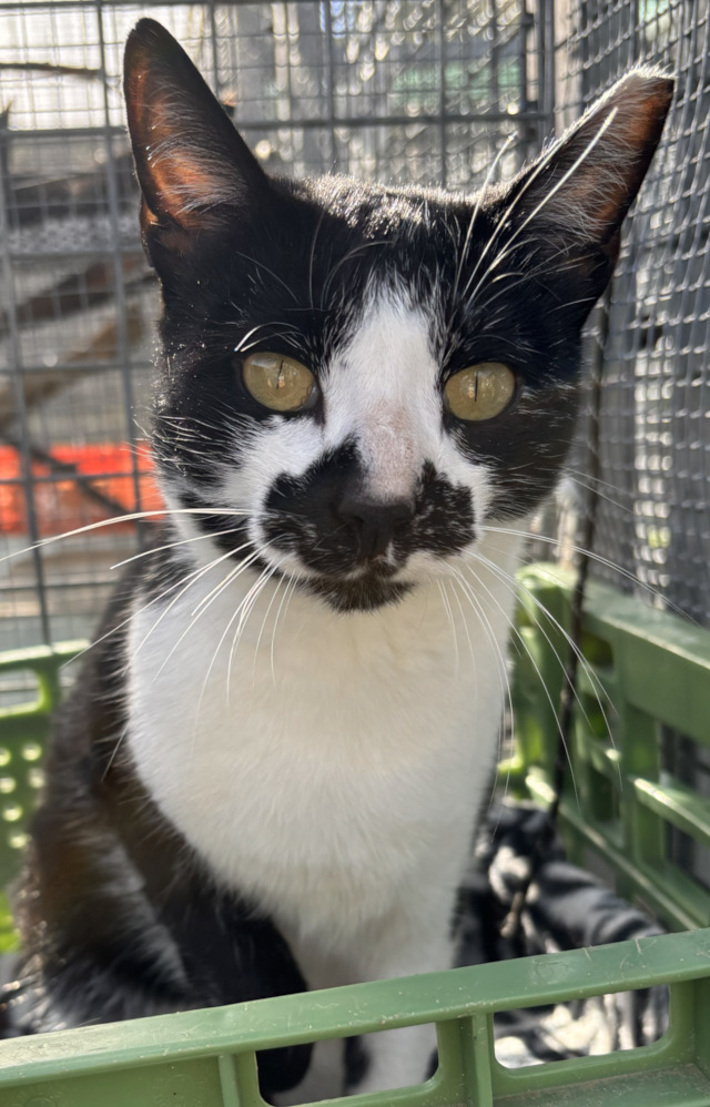 Albertina, weiblich, geb. 2020/2021